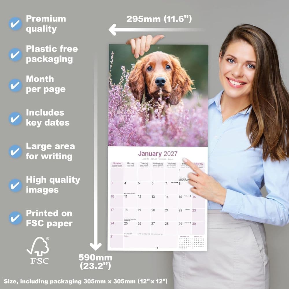 Irish Setter 2027 Wall Calendar Fifth Alternate Image