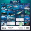 image Sharks Photo 2026 Wall Calendar