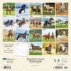 image Magnificent Horses 18 Month 2024 Wall Calendar Alternate Image 1