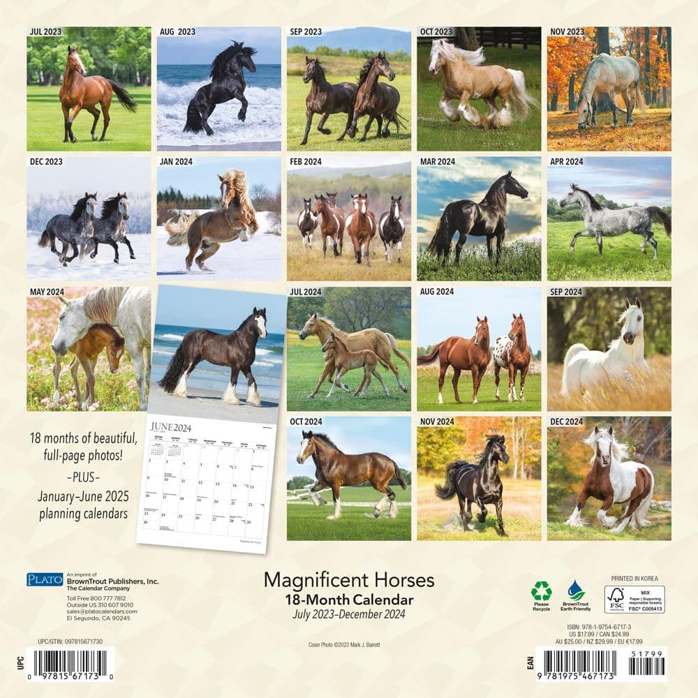 Magnificent Horses 18 Month 2024 Wall Calendar Alternate Image 1