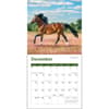 image Horses 2024 Mini Wall Calendar Third Alternate Image width=&quot;1000&quot; height=&quot;1000&quot;