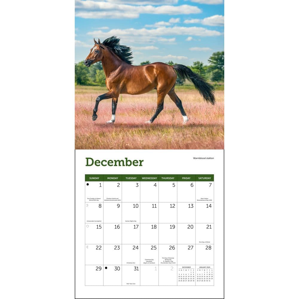 Horses 2024 Mini Wall Calendar Third Alternate Image width=&quot;1000&quot; height=&quot;1000&quot;
