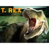 image Jurassic World T Rex 100 Piece Puzzle