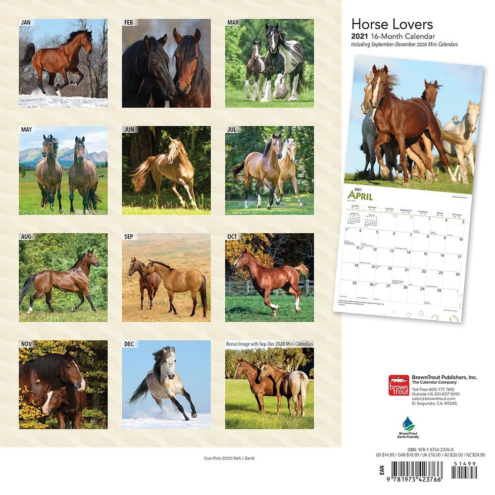 Horse Lovers 2016 Mini 7x7 Wall Calendar