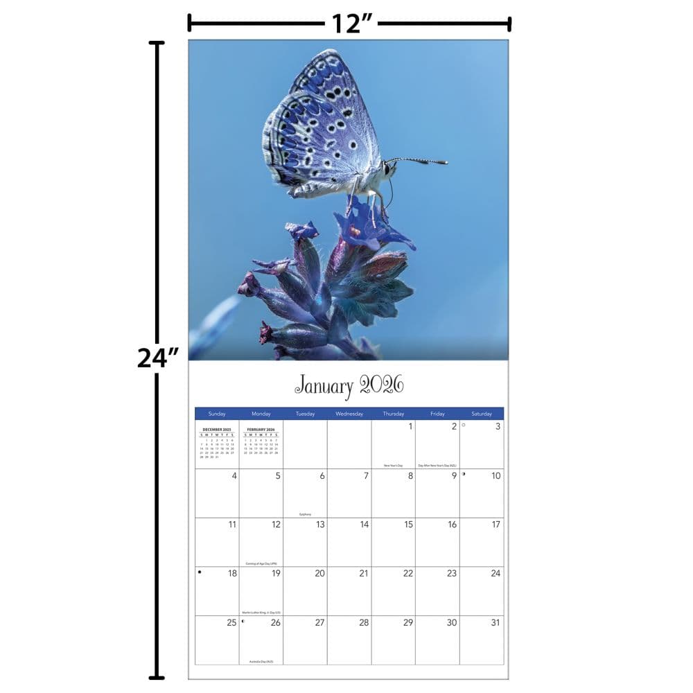 Butterflies Photo 2026 Wall Calendar_ALT5