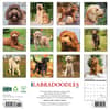 image Just Labradoodles 2025 Wall Calendar