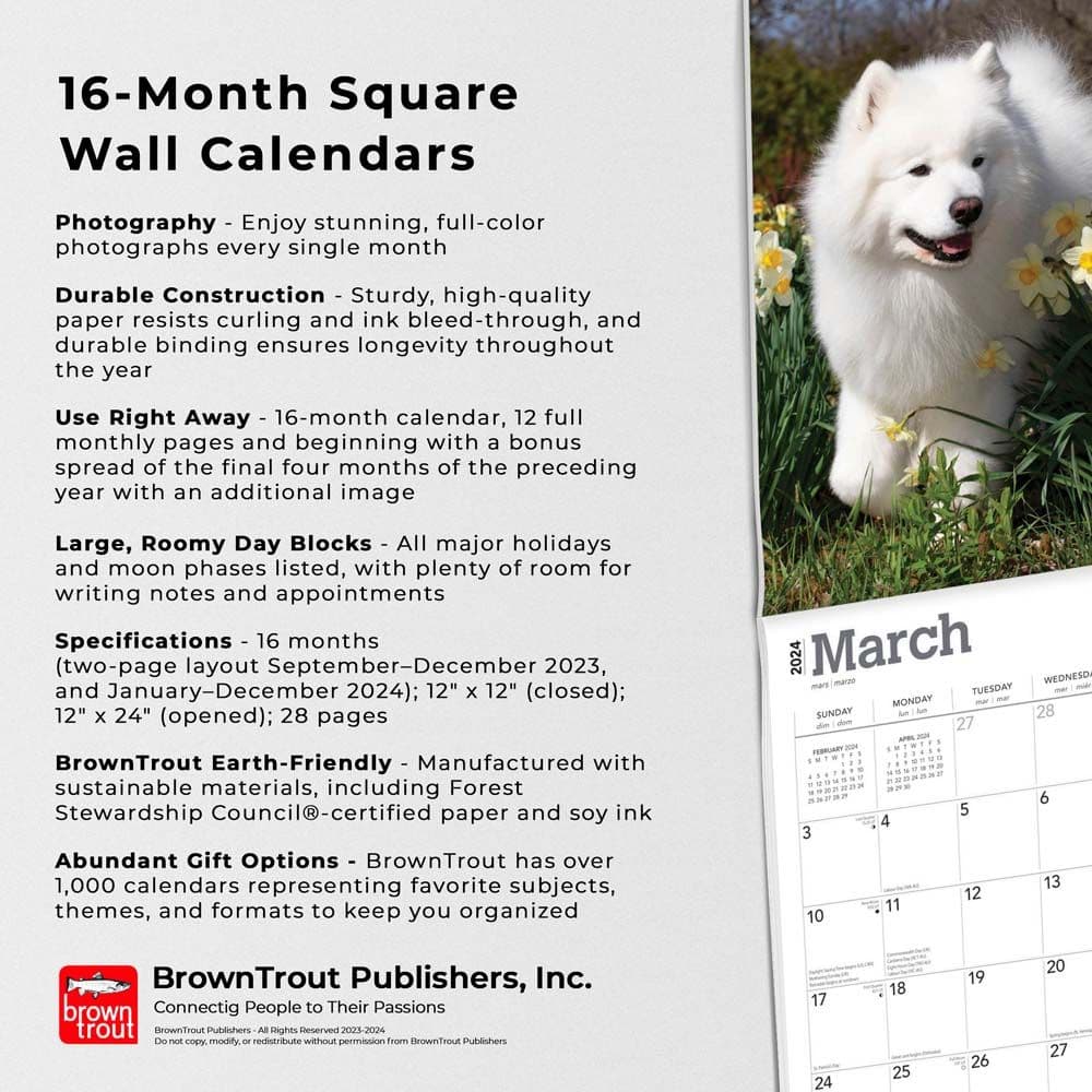 Samoyeds 2024 Wall Calendar Fourth Alternate Image width=&quot;1000&quot; height=&quot;1000&quot;