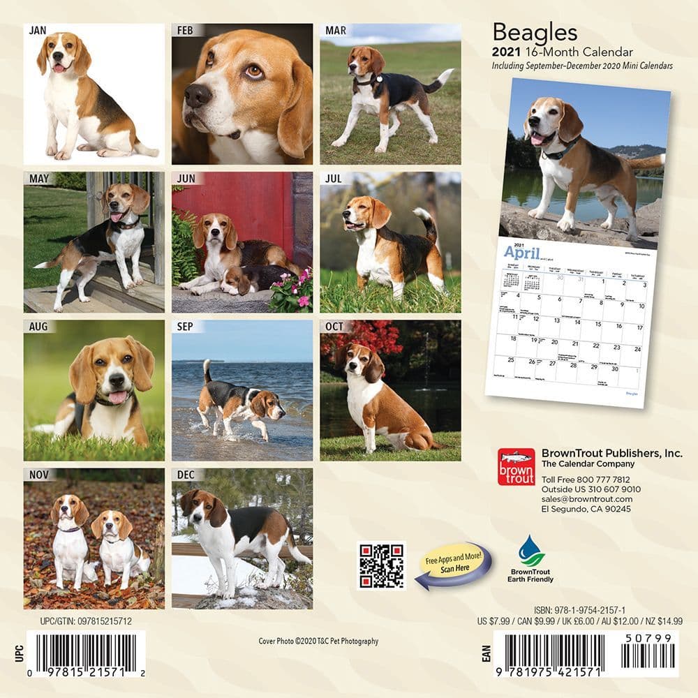 Beagle 21 Mini Wall Calendar Calendars Com