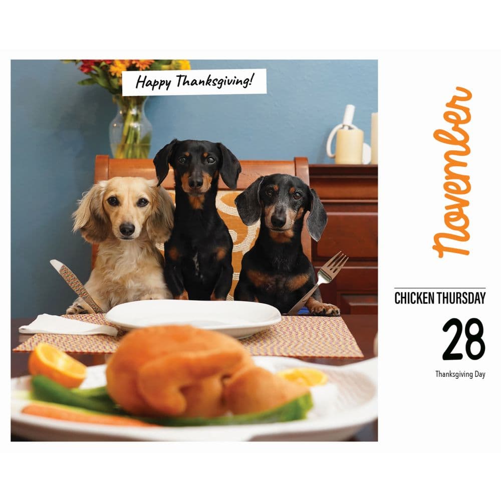 Crusoe the Celebrity Dachshund 2024 Desk Calendar