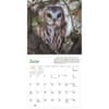image Audubon Little Owls 2024 Mini Wall Calendar Second Alternate Image width=&quot;1000&quot; height=&quot;1000&quot;