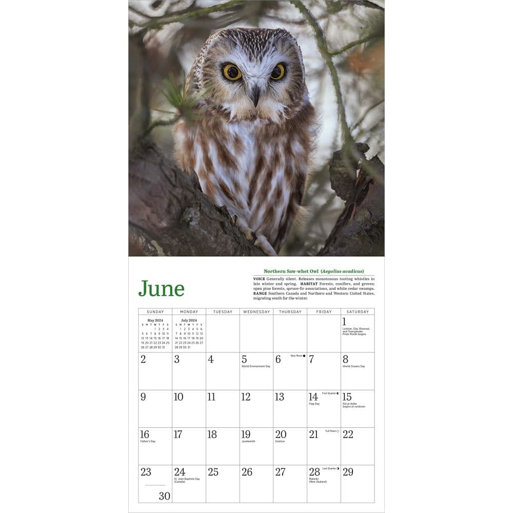 Audubon Little Owls 2024 Mini Wall Calendar Second Alternate Image width=&quot;1000&quot; height=&quot;1000&quot;