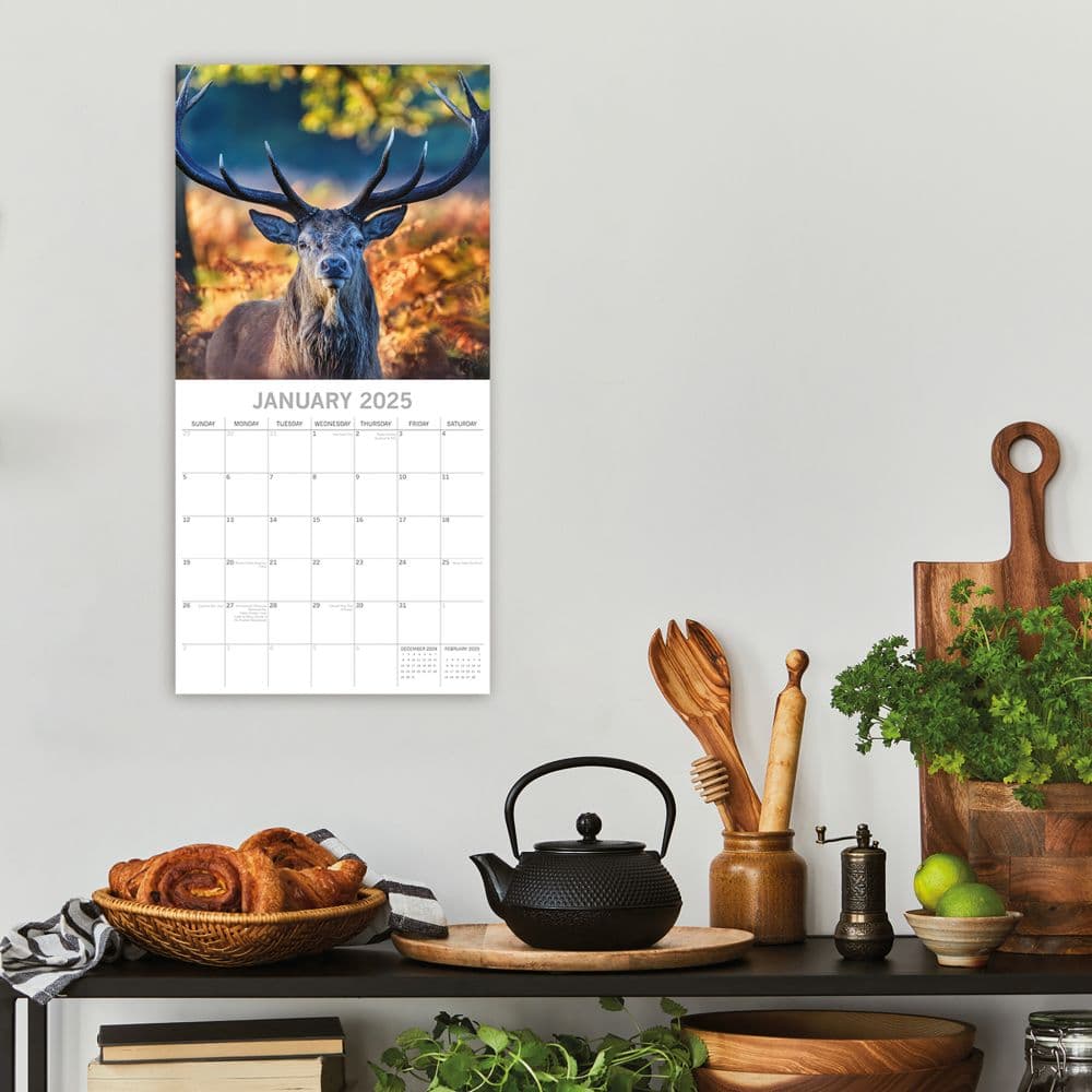 Country Wildlife 2025 Wall Calendar