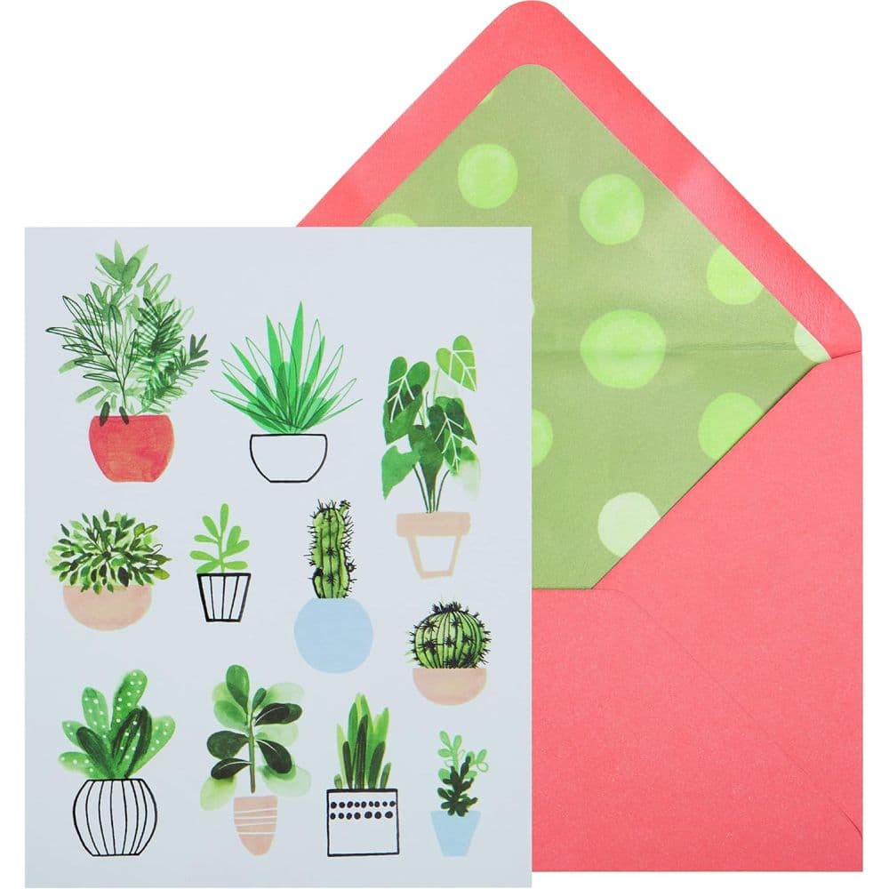 Potted Plants Boxed Note Cards Main Product Image