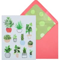 image Potted Plants Boxed Note Cards Main Product Image