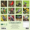 image Garden Birds 2025 Wall Calendar First Alternate Image width="1000" height="1000"