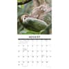 image Sloths 2025 Wall Calendar