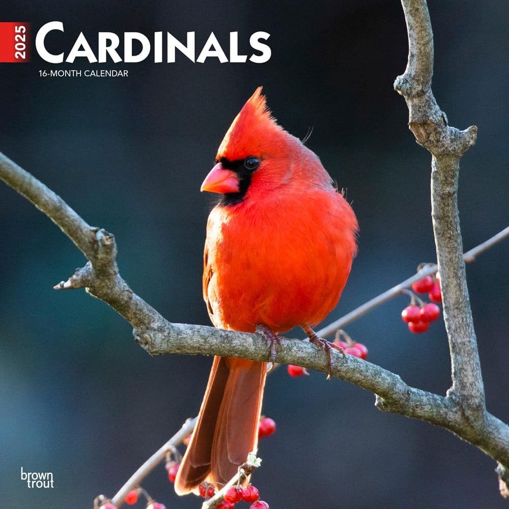 Cardinals 2025 Wall Calendar