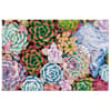 image Succulents 1000 Piece Puzzle image only