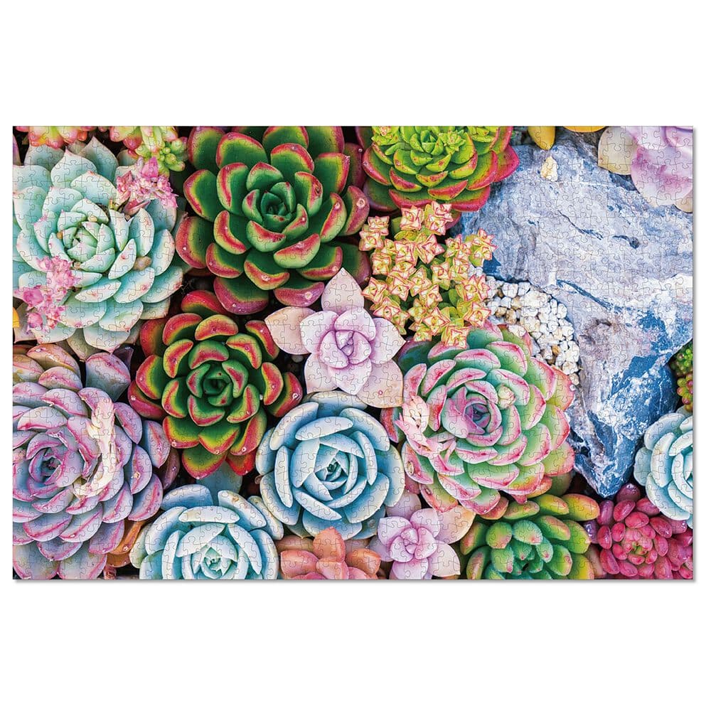 Succulents 1000 Piece Puzzle image only