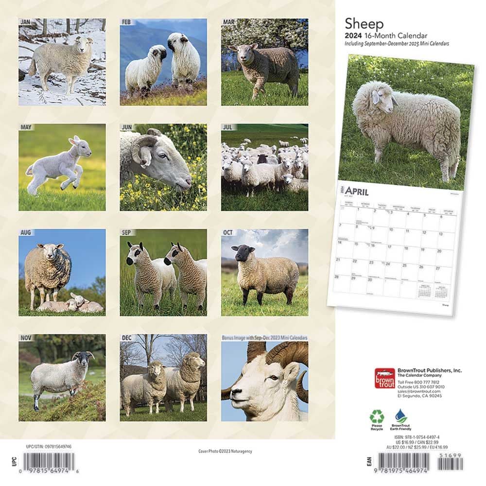 Sheep 2024 Wall Calendar First Alternate Image width=&quot;1000&quot; height=&quot;1000&quot;