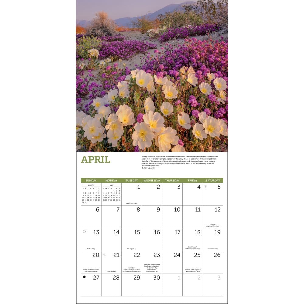 Wildflowers 2025 Wall Calendar