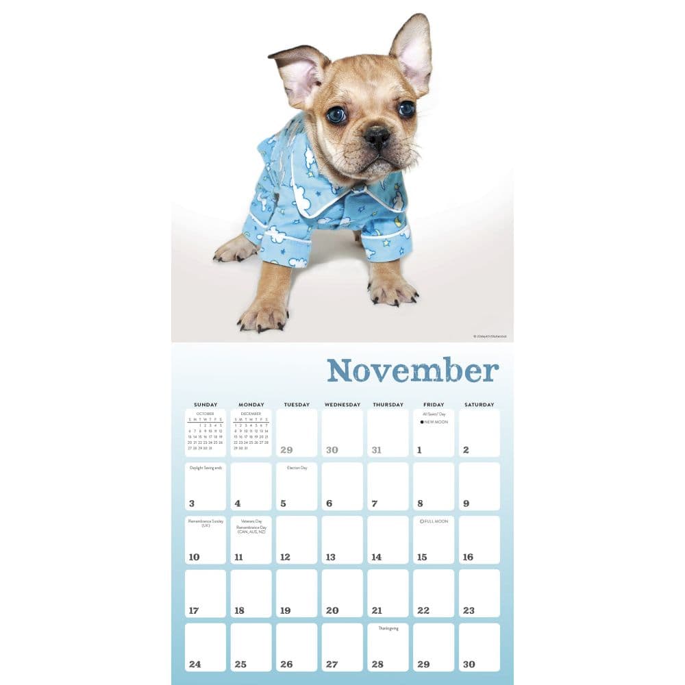 Pajama Pups 2024 Wall Calendar Third Alternate Image width=&quot;1000&quot; height=&quot;1000&quot;