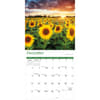 image Sunflowers 2026 Wall Calendar Fourth Alternate Image