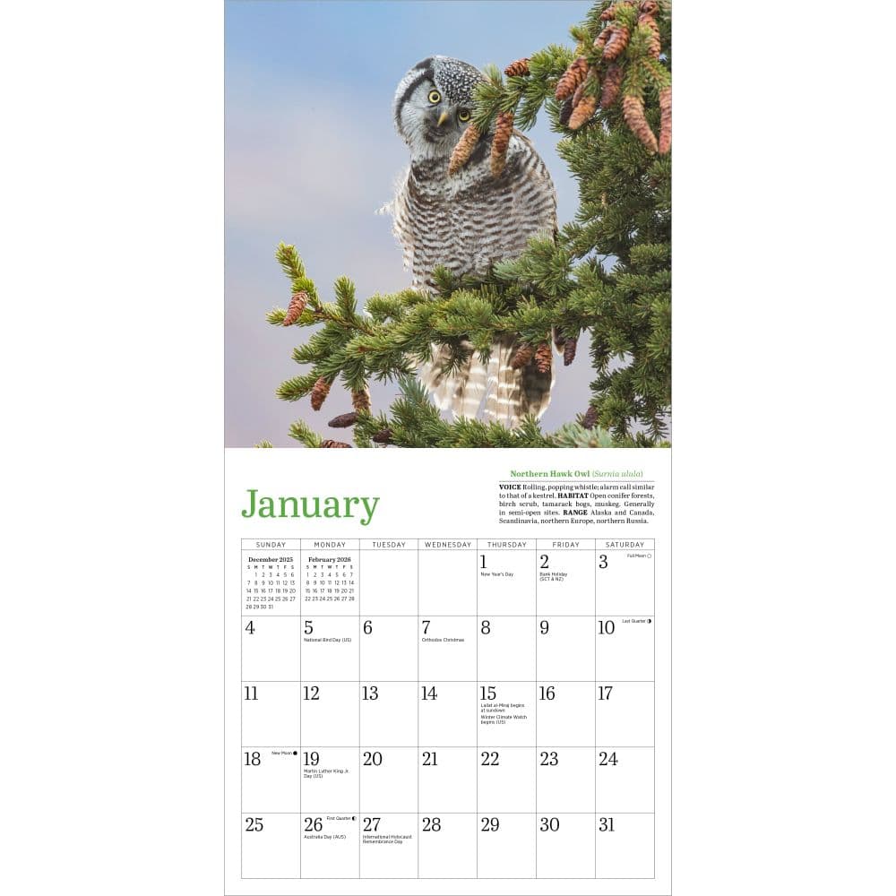 Audubon Little Owls 2026 Mini Wall Calendar Fourth Alternate Image
