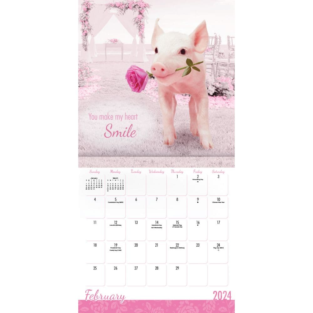 Perfectly Pink 2024 Wall Calendar Alternate Image 4