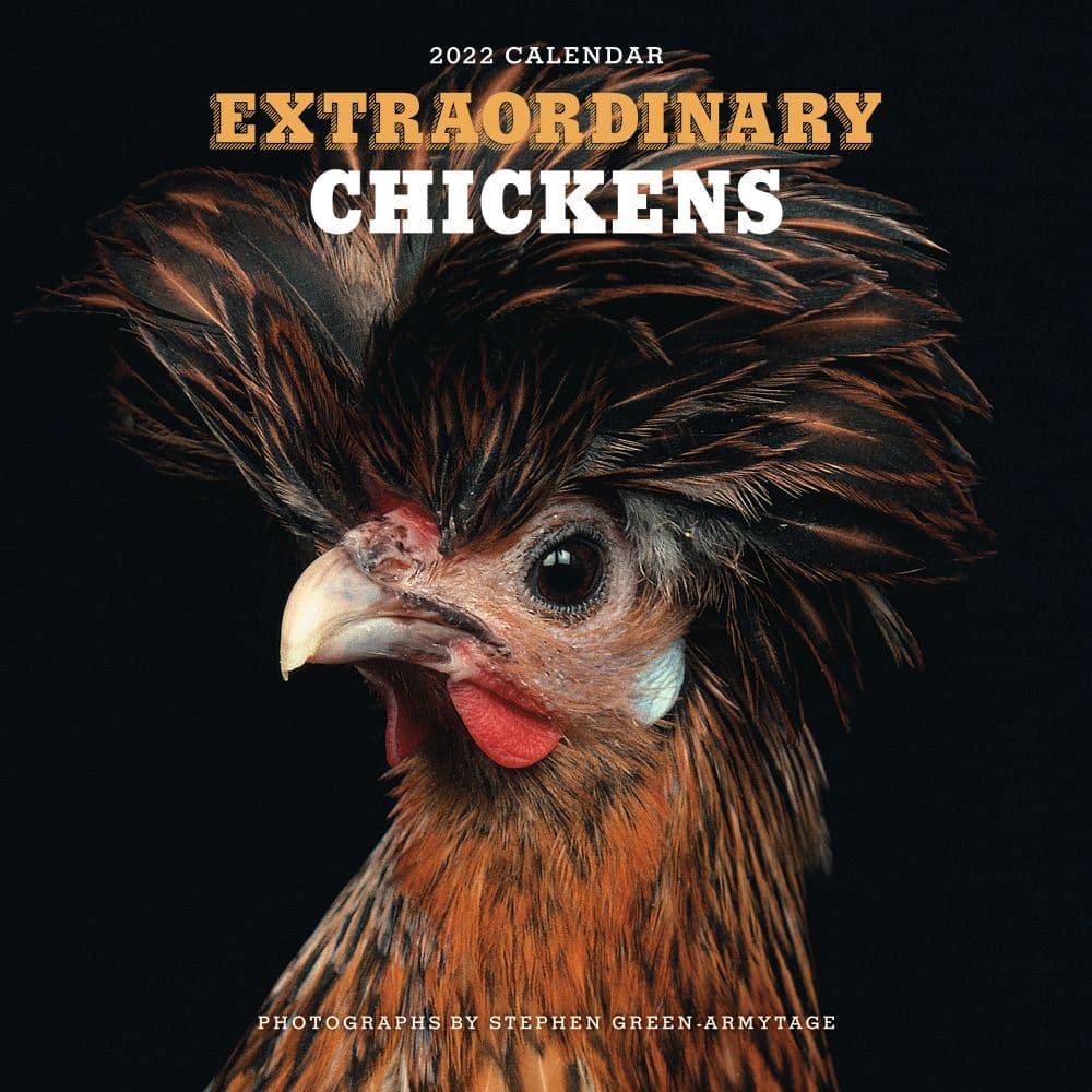 Extraordinary Chickens 2022 Wall Calendar - Calendars.com