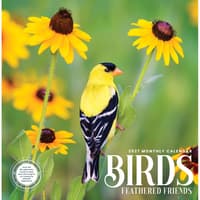 image Birds Feathered Friends 2027 Wall Calendar Main Product Image