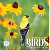 image Birds Feathered Friends 2027 Wall Calendar Main Product Image