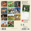 image American Pit Bull Terriers 2024 Mini Wall Calendar First Alternate Image width=&quot;1000&quot; height=&quot;1000&quot;