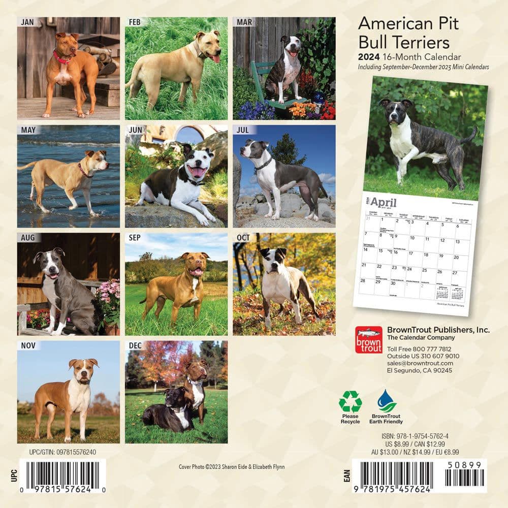 American Pit Bull Terriers 2024 Mini Wall Calendar First Alternate Image width=&quot;1000&quot; height=&quot;1000&quot;
