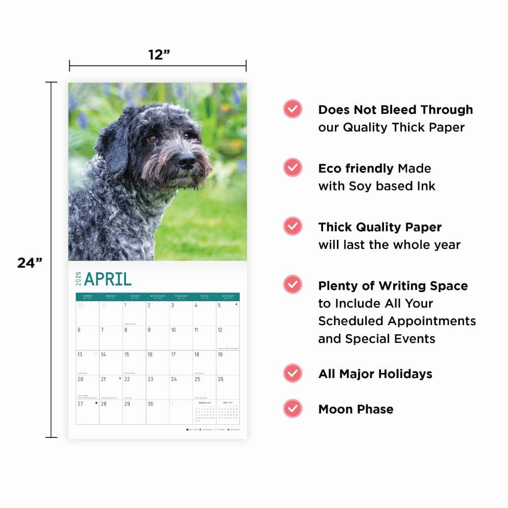Cockapoos 2025 Wall Calendar Eighth Alternate Image