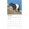 image Cows 2025 Wall Calendar