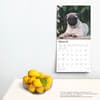 image Pug Puppies 2025 Wall Calendar Fourth Alternate Image