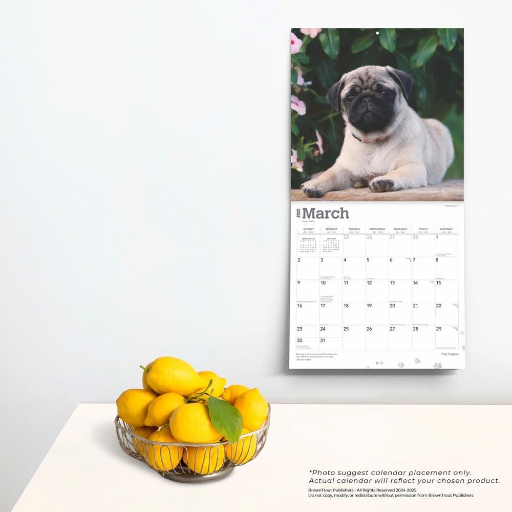 Pug Puppies 2025 Wall Calendar Fourth Alternate Image