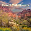 image Audubon Desert Wildflowers 2024 Wall Calendar Main Product Image width=&quot;1000&quot; height=&quot;1000&quot;
