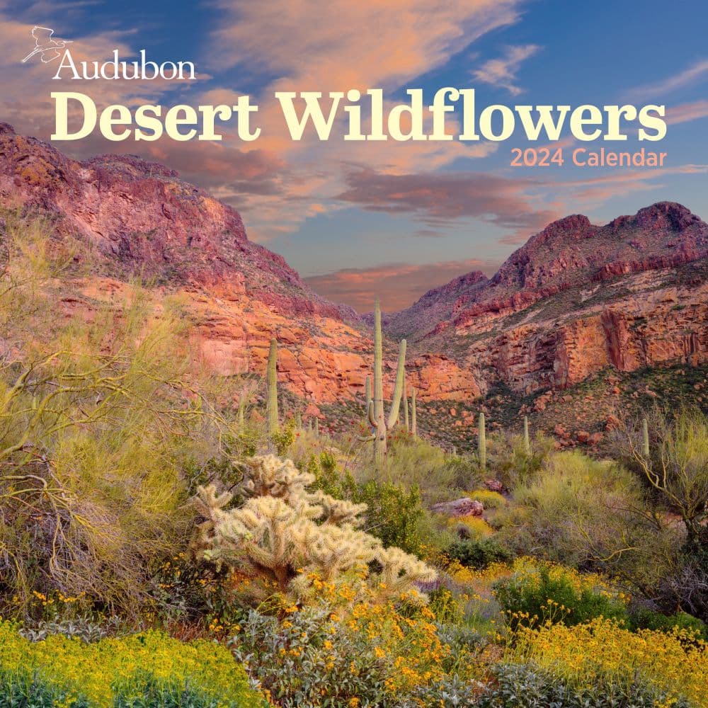 Audubon Desert Wildflowers 2024 Wall Calendar Main Product Image width=&quot;1000&quot; height=&quot;1000&quot;