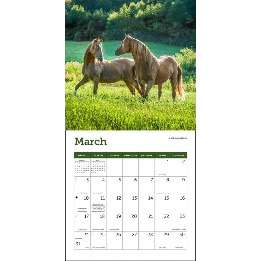 Horses 2024 Mini Wall Calendar Second Alternate Image width=&quot;1000&quot; height=&quot;1000&quot;