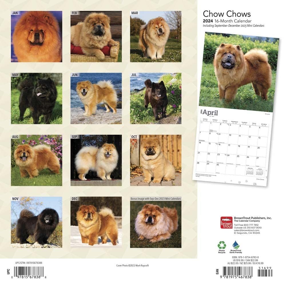 Chow Chows 2024 Wall Calendar First Alternate Image width=&quot;1000&quot; height=&quot;1000&quot;