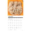 image Just Poodle Puppies 2025 Wall Calendar