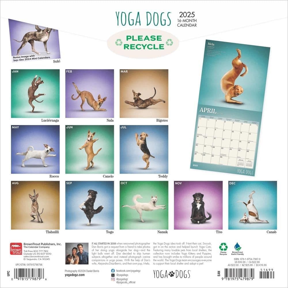 Yoga Dogs 2025 Wall Calendar First Alternate Image