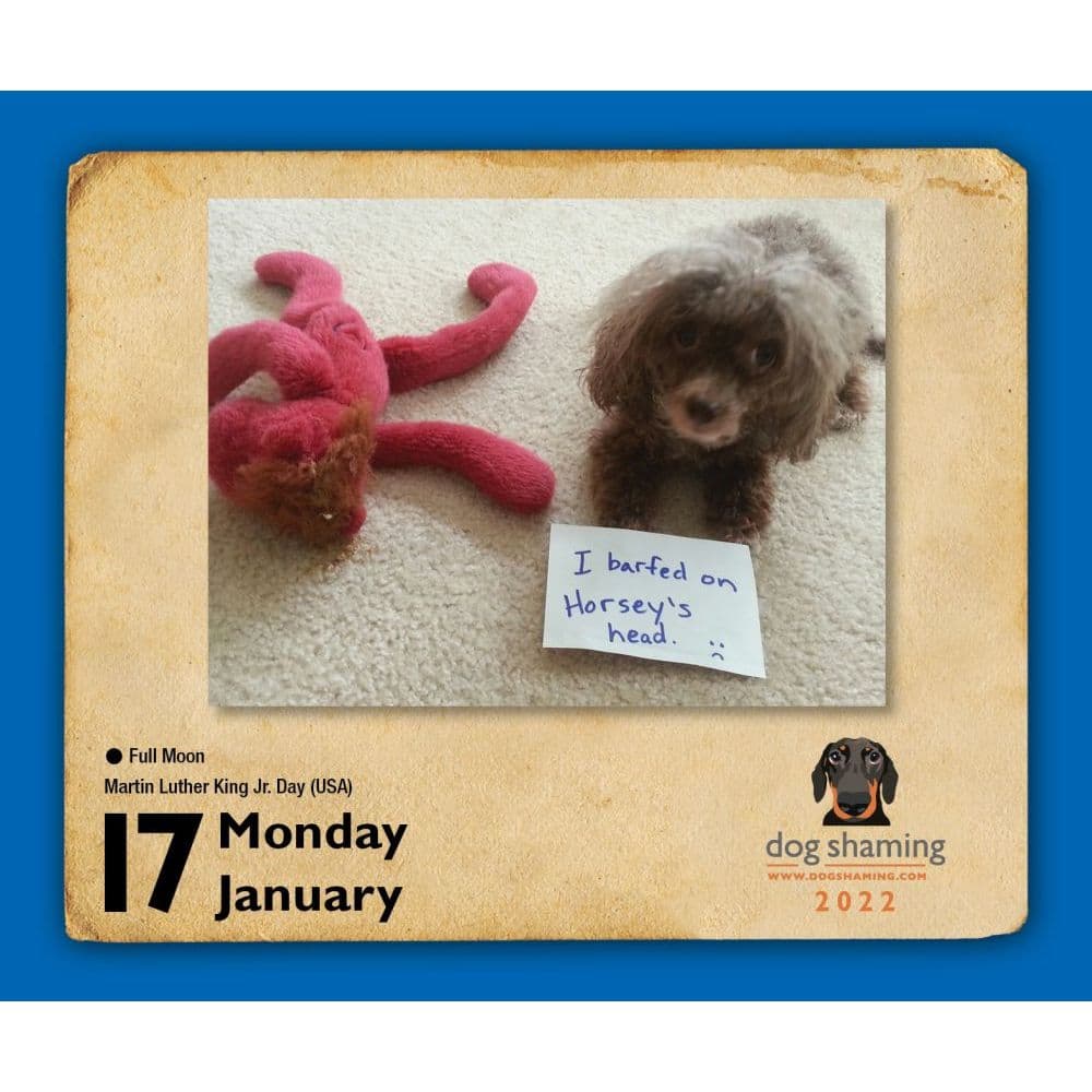 Dog Shaming 2022 Day-to-Day Calendar - Calendars.com