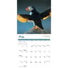image Puffins 2024 Wall Calendar Third Alternate Image width=&quot;1000&quot; height=&quot;1000&quot;
