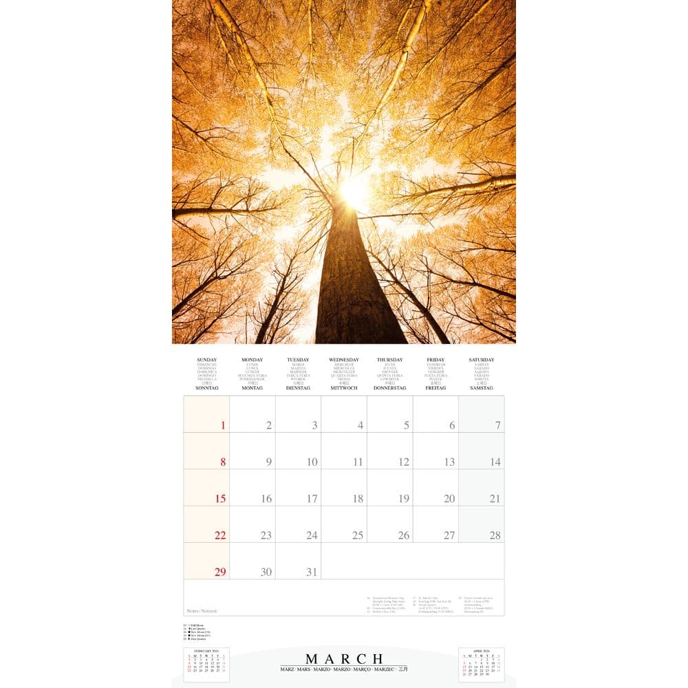 Deep Forest 2026 Wall Calendar Fourth Alternate Image
