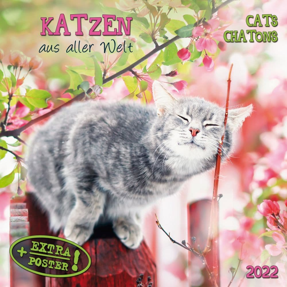 Cats Tushita 2022 Small Wall Calendar