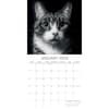image Cat Portraits 2024 Wall Calendar January