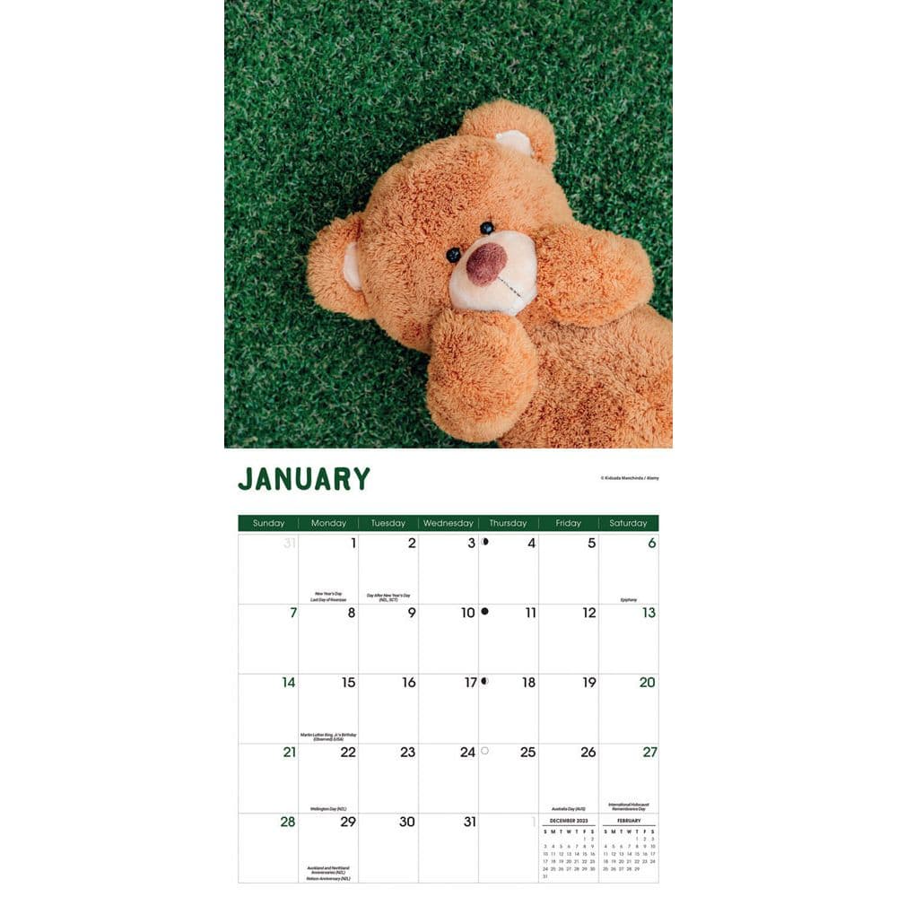 Teddy Bears 2024 Wall Calendar